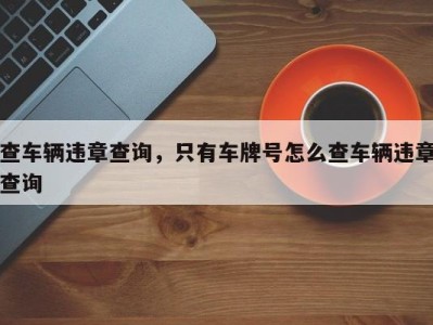 查车辆违章查询，只有车牌号怎么查车辆违章查询