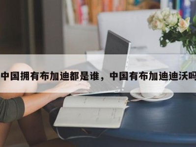 中国拥有布加迪都是谁，中国有布加迪迪沃吗