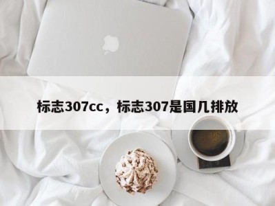 标志307cc，标志307是国几排放