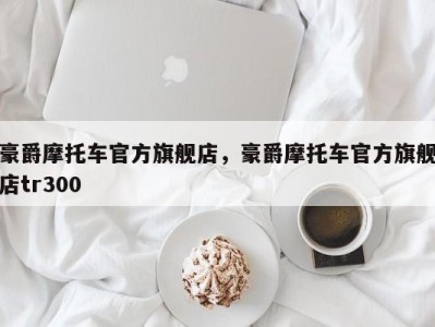 豪爵摩托车官方旗舰店，豪爵摩托车官方旗舰店tr300