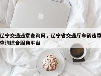 辽宁交通违章查询网，辽宁省交通厅车辆违章查询综合服务平台