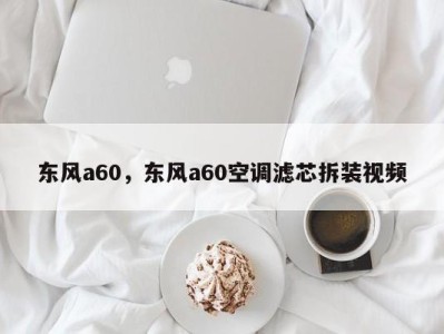 东风a60，东风a60空调滤芯拆装视频