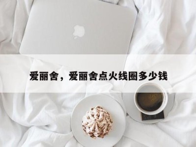 爱丽舍，爱丽舍点火线圈多少钱