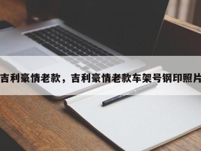 吉利豪情老款，吉利豪情老款车架号钢印照片