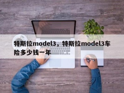 特斯拉model3，特斯拉model3车险多少钱一年