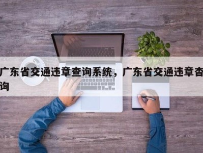 广东省交通违章查询系统，广东省交通违章杳询