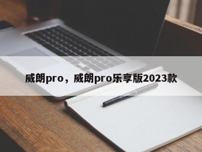 威朗pro，威朗pro乐享版2023款