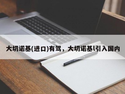 大切诺基(进口)有驾，大切诺基l引入国内