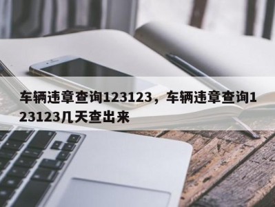 车辆违章查询123123，车辆违章查询123123几天查出来