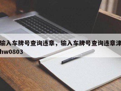 输入车牌号查询违章，输入车牌号查询违章津hw0803