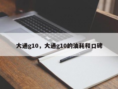 大通g10，大通g10的油耗和口碑