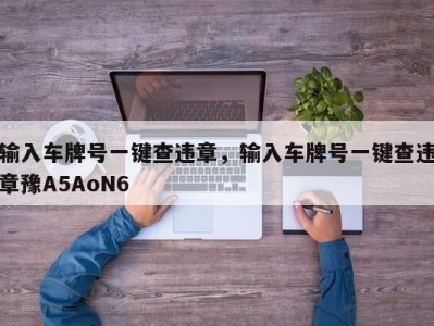 输入车牌号一键查违章，输入车牌号一键查违章豫A5AoN6