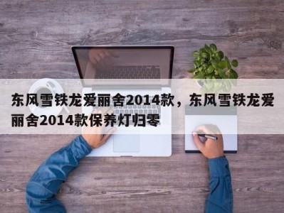 东风雪铁龙爱丽舍2014款，东风雪铁龙爱丽舍2014款保养灯归零