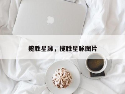 揽胜星脉，揽胜星脉图片