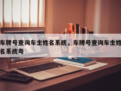 车牌号查询车主姓名系统，车牌号查询车主姓名系统粤