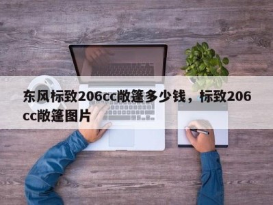 东风标致206cc敞篷多少钱，标致206cc敞篷图片