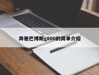 奔驰巴博斯g800的简单介绍