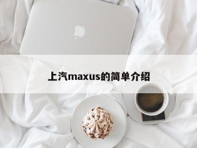 上汽maxus的简单介绍