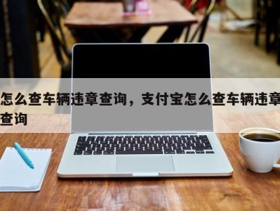 怎么查车辆违章查询，支付宝怎么查车辆违章查询