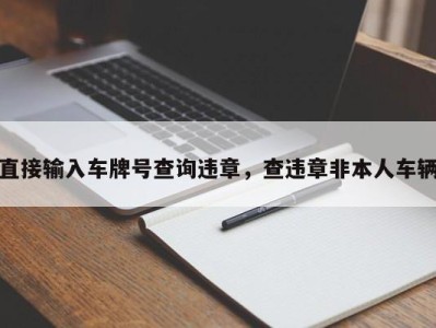 直接输入车牌号查询违章，查违章非本人车辆