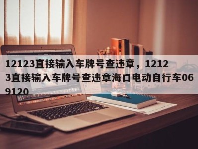 12123直接输入车牌号查违章，12123直接输入车牌号查违章海口电动自行车069120