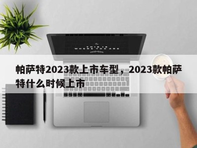 帕萨特2023款上市车型，2023款帕萨特什么时候上市