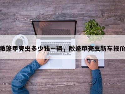 敞篷甲壳虫多少钱一辆，敞篷甲壳虫新车报价