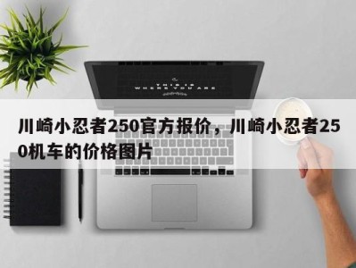 川崎小忍者250官方报价，川崎小忍者250机车的价格图片