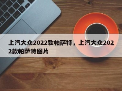 上汽大众2022款帕萨特，上汽大众2022款帕萨特图片