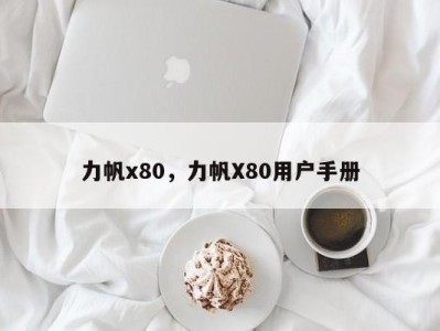 力帆x80，力帆X80用户手册