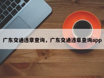 广东交通违章查询，广东交通违章查询app