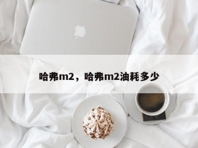 哈弗m2，哈弗m2油耗多少