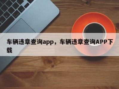 车辆违章查询app，车辆违章查询APP下载