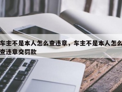 车主不是本人怎么查违章，车主不是本人怎么查违章交罚款