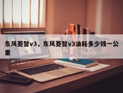 东风菱智v3，东风菱智v3油耗多少钱一公里