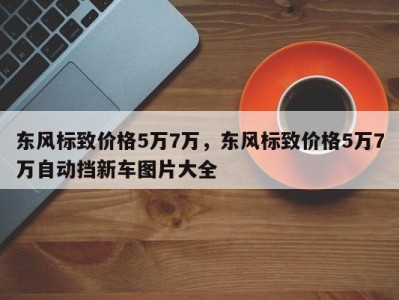 东风标致价格5万7万，东风标致价格5万7万自动挡新车图片大全