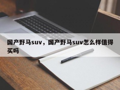 国产野马suv，国产野马suv怎么样值得买吗