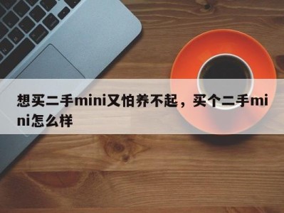 想买二手mini又怕养不起，买个二手mini怎么样