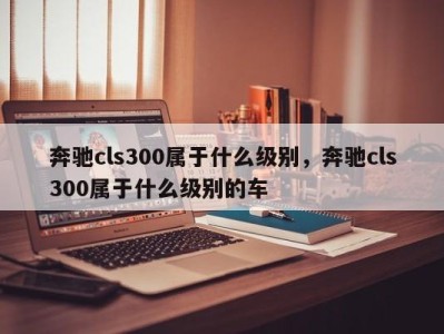 奔驰cls300属于什么级别，奔驰cls300属于什么级别的车