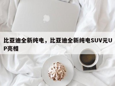 比亚迪全新纯电，比亚迪全新纯电SUV元UP亮相