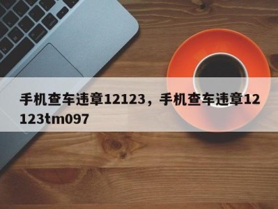 手机查车违章12123，手机查车违章12123tm097