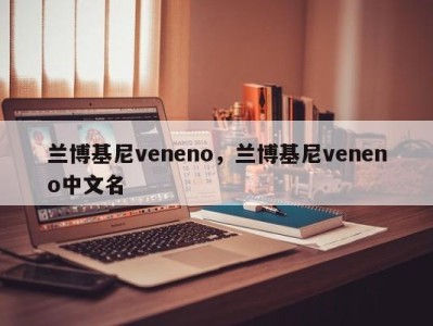 兰博基尼veneno，兰博基尼veneno中文名