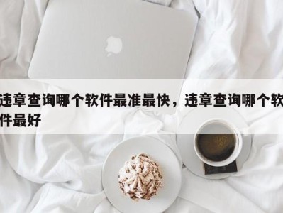 违章查询哪个软件最准最快，违章查询哪个软件最好