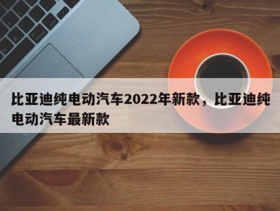 比亚迪纯电动汽车2022年新款，比亚迪纯电动汽车最新款