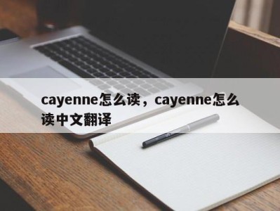 cayenne怎么读，cayenne怎么读中文翻译