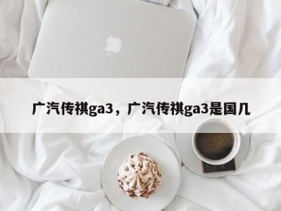 广汽传祺ga3，广汽传祺ga3是国几