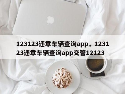 123123违章车辆查询app，123123违章车辆查询app交管12123