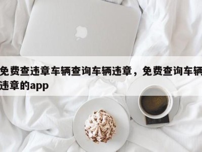 免费查违章车辆查询车辆违章，免费查询车辆违章的app