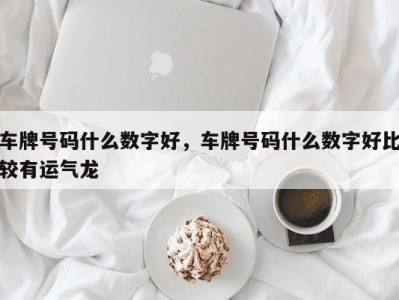 车牌号码什么数字好，车牌号码什么数字好比较有运气龙