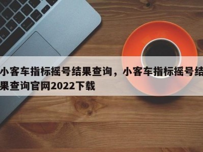 小客车指标摇号结果查询，小客车指标摇号结果查询官网2022下载